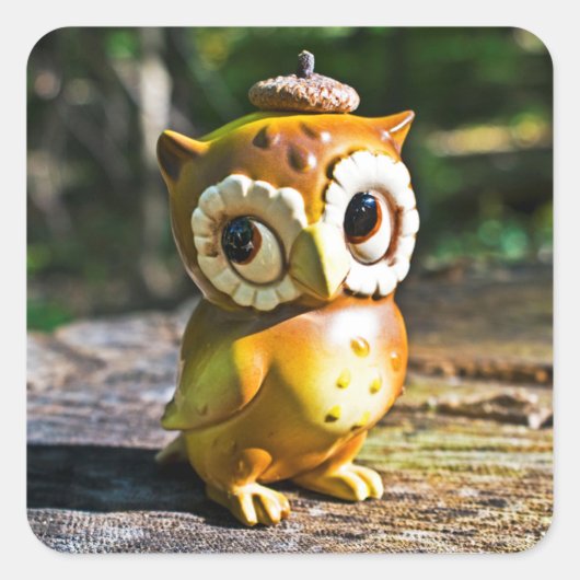 Harvey the Owl III Vierkante Sticker (Voorkant)