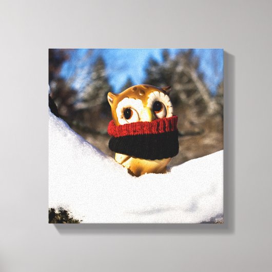 Harvey the Owl IV Canvas Afdruk (Voorkant)