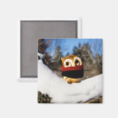 Harvey the Owl IV Magneet (Voorkant / Achterkant)