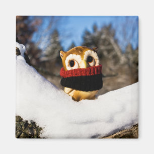 Harvey the Owl IV Magneet