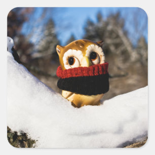 Harvey the Owl IV Vierkante Sticker