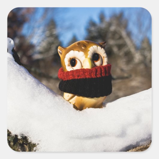 Harvey the Owl IV Vierkante Sticker (Voorkant)