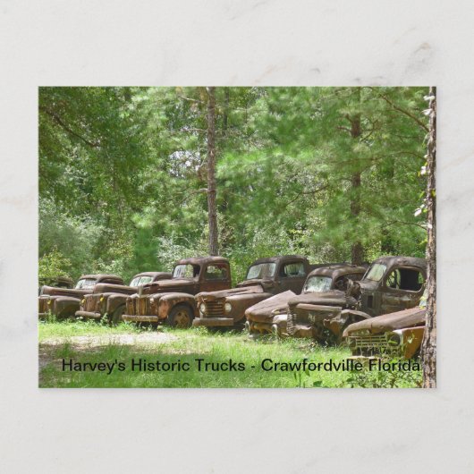 Harvey's Historic Truck Display - Crawfordville FL Briefkaart (Voorkant)
