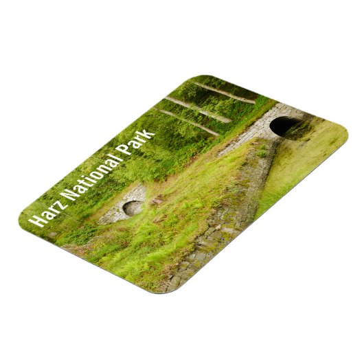 Harz Germany Magnet Magneet (Linkerzijde)