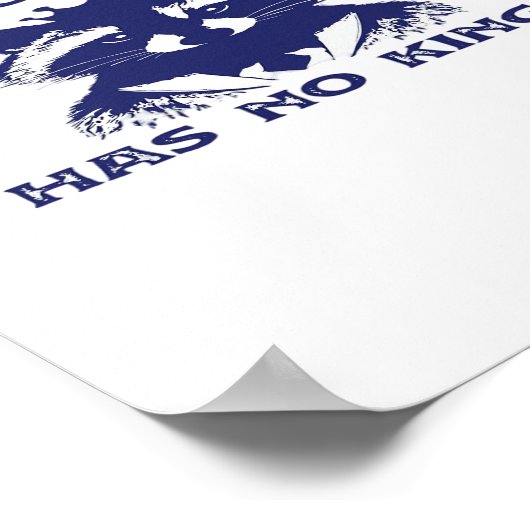 Has No Kings Patriotic Poster (Hoek)