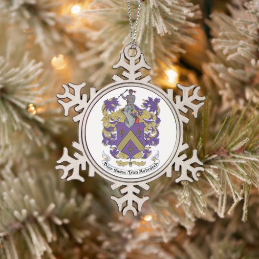 Hasbrouck Wapen Ornamente Tin Sneeuwvlok Ornament (Boom)