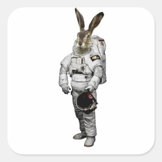 Hase Astronaut Sticker (Voorkant)