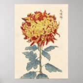 Hasegawa Chrysanthemum houtblok print # 121 (Voorkant)