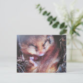 Haselmaus- Postkarte Briefkaart (Staand voorkant)