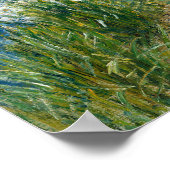 Hassam - De watertuin 1909 Poster (Hoek)