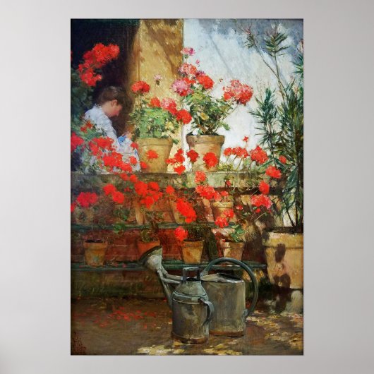 Hassam - Geraniums 1888 Poster (Voorkant)