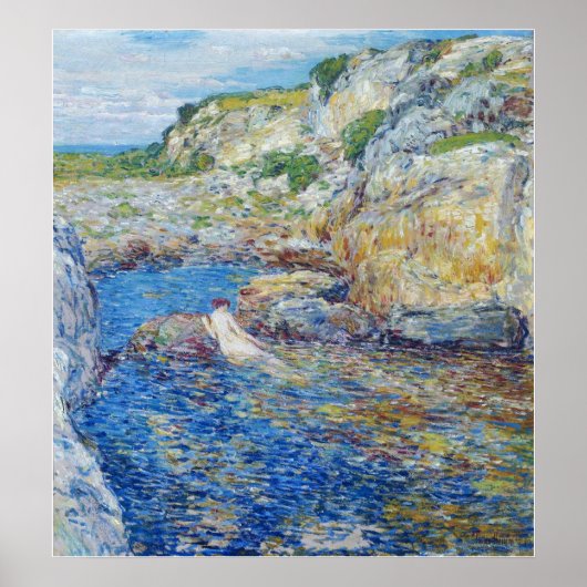 Hassam - Rockweed Pool 1902 Poster (Voorkant)