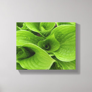 Hastas Canvas Afdruk