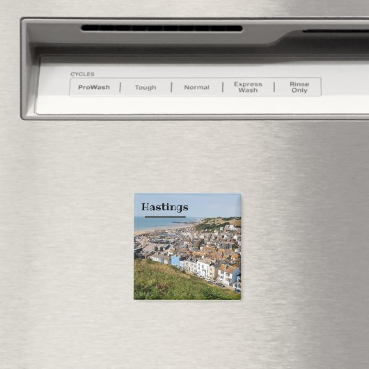 Hastings Fridge Magnet (Insitu (Vaatwasser))