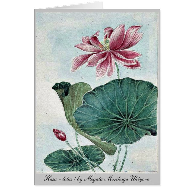 Hasu - lotus / door Megata Morikaga Ukiyo-e. (Voorkant)