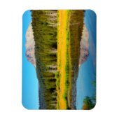 Hat Lake In Lassen Volcanic National Park Magneet (Verticaal)