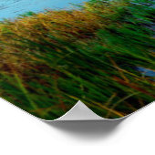 Hat Lake In Lassen Volcanic National Park Poster (Hoek)