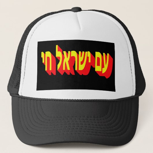 Hat Trucker Pet (Voorkant)