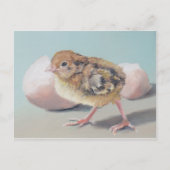 Hatched Chick Bird Art Briefkaart (Voorkant)
