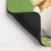 Hatching Baby Chick Muismat (Hoek)