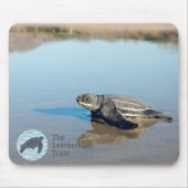 Hatchling Mousepad Muismat (Voorkant)