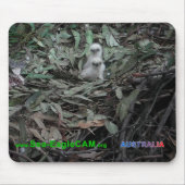 Hatchlings S1 & S2 Mousepad horizontaal Muismat (Voorkant)