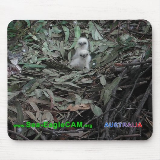 Hatchlings S1 & S2 Mousepad horizontaal Muismat (Voorkant)