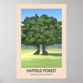 Hatfield Forest Reisposter Poster (Voorkant)