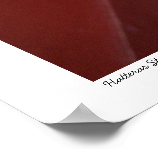 Hatteras Stairs Poster (Hoek)