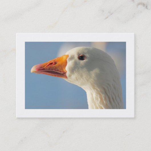 Haughty Goose (grens) Visitekaartje (Voorkant)
