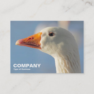 Haughty White Goose Visitekaartje