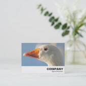 Haughty White Goose Visitekaartje (Staand voorkant)