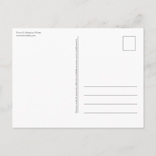 Haukland Beach Lofoten Briefkaart (Achterkant)