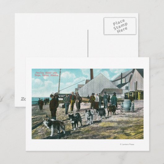 Haulwater met DogsNome, AK Briefkaart (Voorkant / Achterkant)