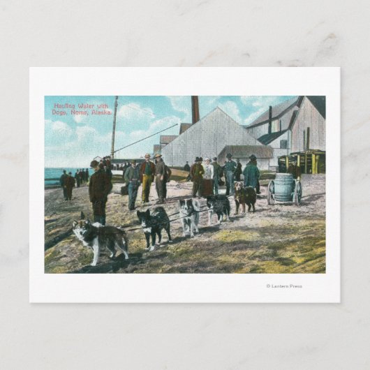Haulwater met DogsNome, AK Briefkaart (Voorkant)