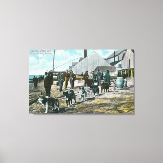 Haulwater met DogsNome, AK Canvas Afdruk (Voorkant)
