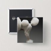 Haunches van het porselein, op grijze achtergrond vierkante button 5,1 cm (Voorkant /achterkant)