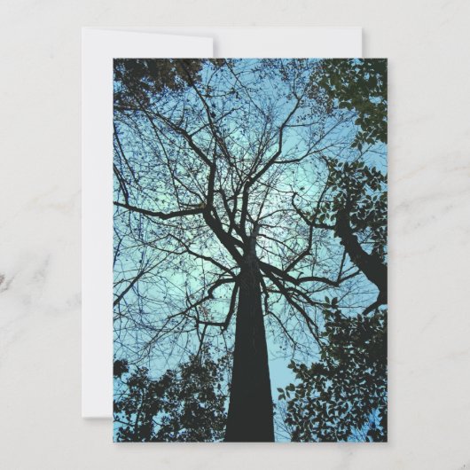 Haunted Bossen Halloween Invitation Kaart (Voorkant)