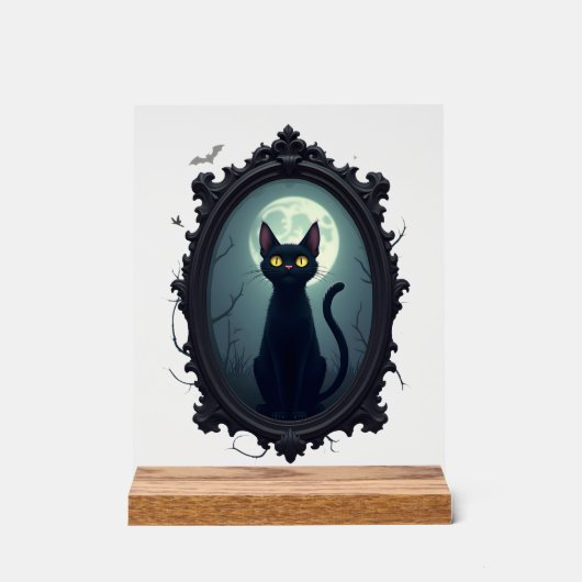 Haunted Cat Mirror Acryl Bord (Voorkant)