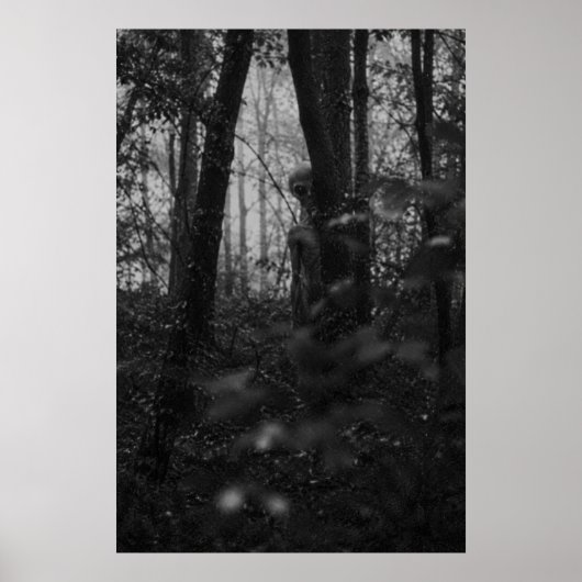 Haunted Forest – Mysterious Shadow in the Woods Poster (Voorkant)