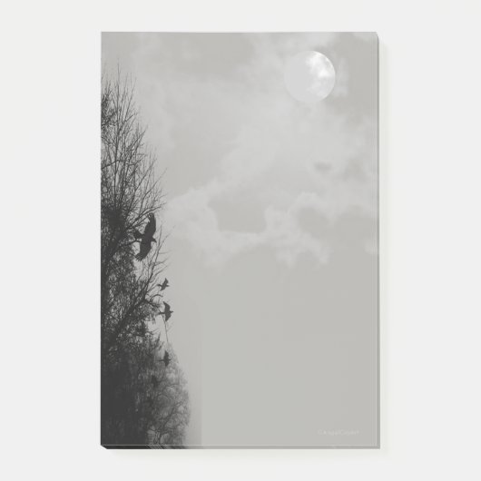 Haunted Grey Sky beroemd gemaakt door Moon & Raven Post-it® Notes (Voorkant)