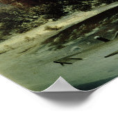 Haunted House in the Snow, 1848 Poster (Hoek)