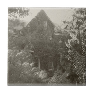 Haunted Mansion! Tegeltje
