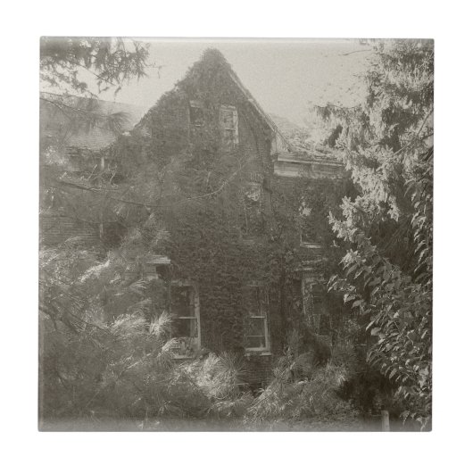 Haunted Mansion! Tegeltje (Voorkant)