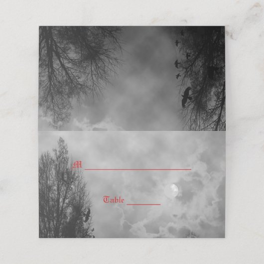 Haunted Moon Sky beroemd gemaakt door Ravens Place Plaatskaartje (Buitenkant ongevouwen)