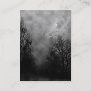 Haunted Sky met Visitekaartje Ravens