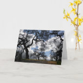 Haunted Trees Mooie Natuurlijke Schilderachtig Fot Kaart (Gele Bloem)