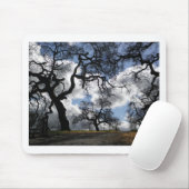 Haunted Trees Mooie Natuurlijke Schilderachtig Fot Muismat (Met muis)