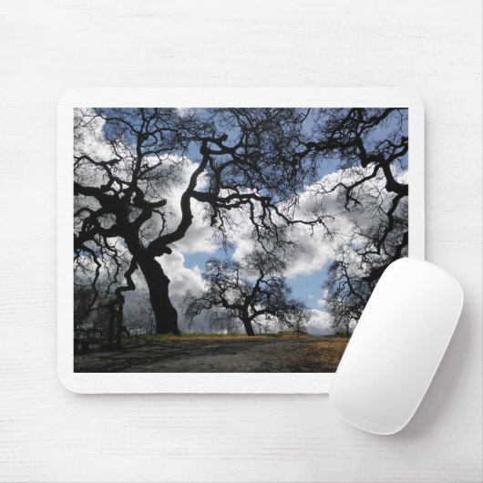 Haunted Trees Mooie Natuurlijke Schilderachtig Fot Muismat (Met muis)