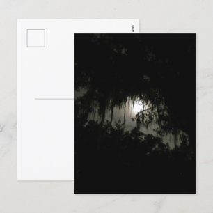 Haunting Dark Night Feestdagenkaart